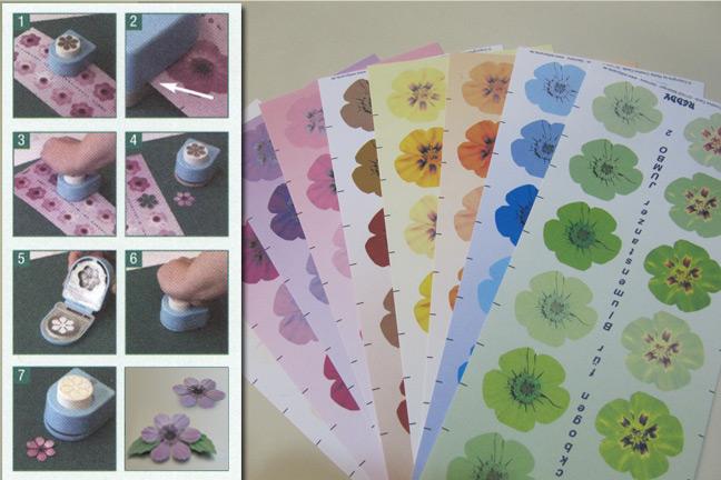 Floral Punch 5 Pedal Large (Jumbo)